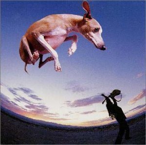 Paul Gilbert / Flying Dog