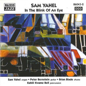 Sam Yahel / In The Blink Of An Eye