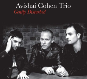 Avishai Cohen Trio / Gently Disturbed (DIGI-PAK)