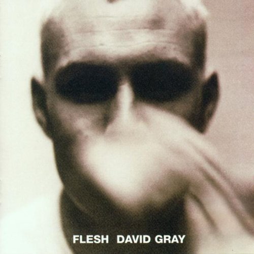 David Gray / Flesh