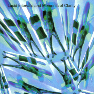 Michael Angelo Batio / Lucid Intervals And Moments Of Clarity (미개봉)