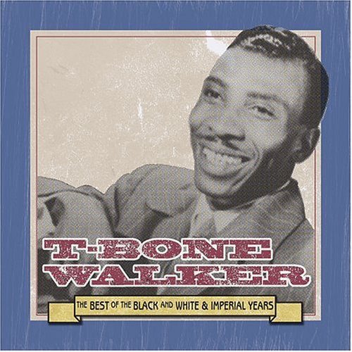 T-Bone Walker / The Best of the Black and White And Imperial Years (미개봉)