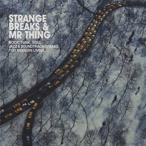 V.A. / Strange Breaks &amp; Mr Thing (2CD, DIGI-PAK)