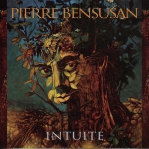 Pierre Bensusan / Intuite