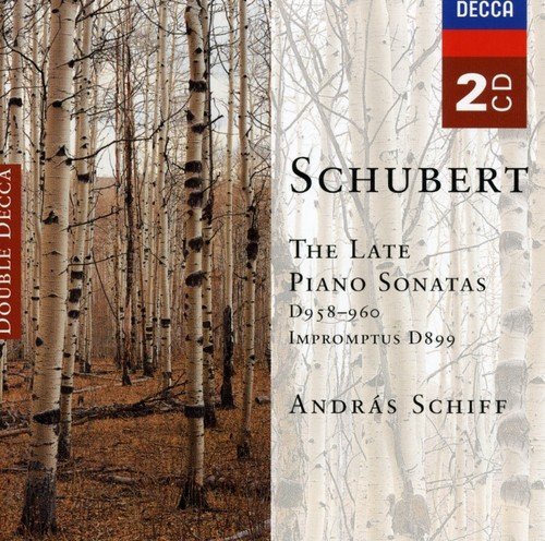 Andras Schiff / Schubert: The Late Piano Sonatas D.958-960, Impromptus D.899 (2CD, 미개봉)