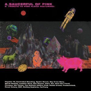 V.A. / Saucerful of Pink - Tribute to Pink Floyd (2CD) 