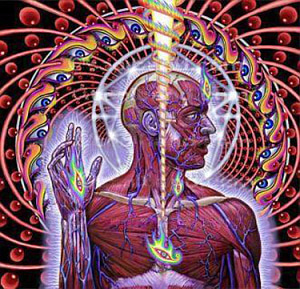 Tool / Lateralus 