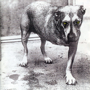 Alice In Chains / Alice In Chains