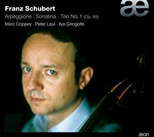 Ilya Gringolts, Marc Coppey, Peter Laul / Schubert : Arpeggione Sonata (DIGI-PAK, 미개봉)