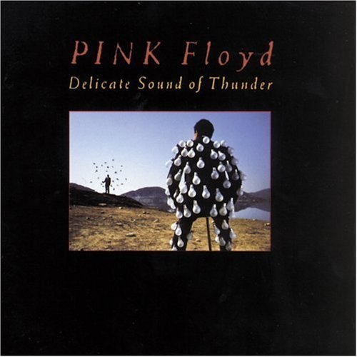 Pink Floyd / Delicate Sound Of Thunder - Live (2CD)