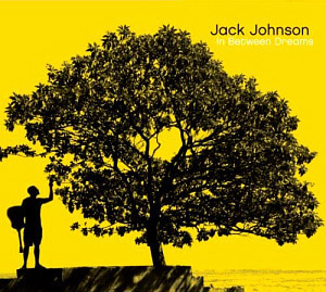 Jack Johnson / In Between Dreams (DIGI-PAK) 
