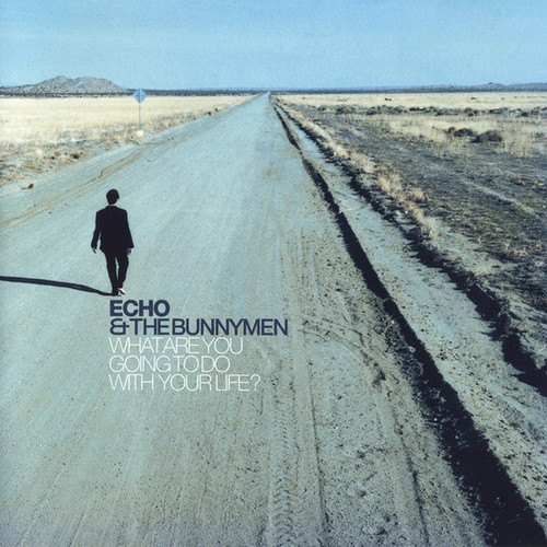 Echo &amp; The Bunnymen / What Are You Going To Do With Your Life?