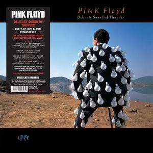 [LP] Pink Floyd / Delicate Sound Of Thunder: Live (2016 Reissue, 2LP, 180g, 미개봉)