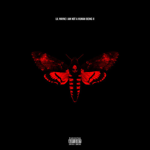 Lil Wayne / I Am Not A Human Being II (STANDARD EDITION)