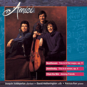 Amici Trio / Beethoven, Zemlinsky, Nin