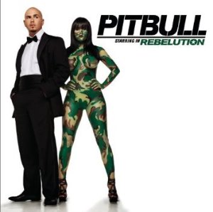Pitbull / Rebelution (홍보용)