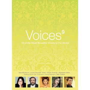 V.A. / Voices 9 (홍보용)