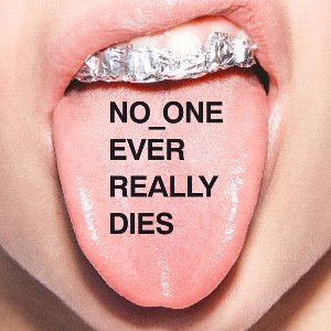 N.E.R.D. / NO_ONE EVER REALLY DIES (홍보용)