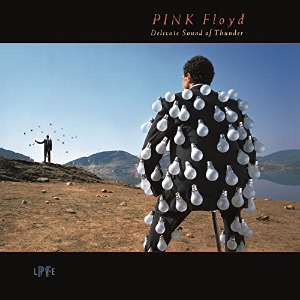 Pink Floyd / Delicate Sound Of Thunder (2CD, LIMITED EDITION, LP MINIATURE)