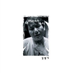 김창기 / 2집-내 머리 속의 가시 (홍보용)