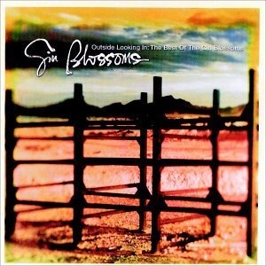 Gin Blossoms / Outside Looking In: The Best Of The Gin Blossoms