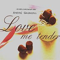 Andre Gagnon / Love Me Tender: 가장 사랑받는 앙드레 가뇽의 음악 모음집 (2CD)