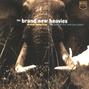 Brand New Heavies / Dream Come True: The Best Of The Acid Jazz Years