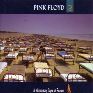Pink Floyd / A Momentary Lapse Of Reason