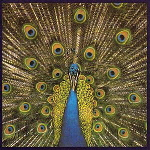 Bluetones / Expecting To Fly