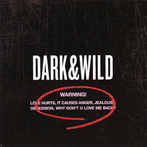 방탄소년단(BTS) / 1집-Dark &amp; Wild