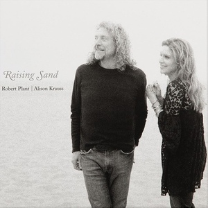 [LP] Alison Krauss &amp; Robert Plant / Raising Sand (2LP, 180g, Limited Edition, 미개봉)