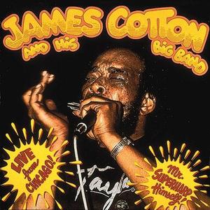 James Cotton / Live From Chicago: Mr. Superharp Himself