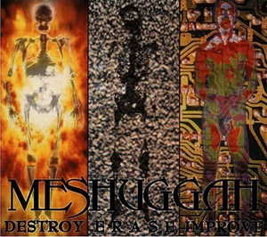 Meshuggah / Destroy Erase Improve