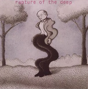 Deep Purple / Rapture of the Deep
