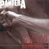 Pantera / Vulgar Display Of Cowboys (미개봉)