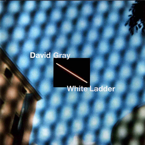 David Gray / White Ladder (미개봉)