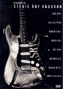 [DVD] V.A. / A Tribute To Stevie Ray Vaughan (미개봉)
