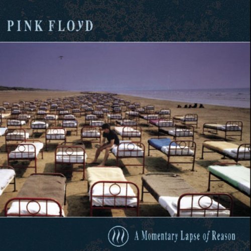 Pink Floyd / A Momentary Lapse Of Reason