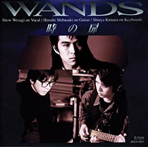 Wands (완즈) / 時の扉