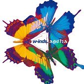 W-inds. (윈즈) / Ageha (초회한정반 CD+DVD, 미개봉)