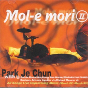 박재천 / Mol E Mori II