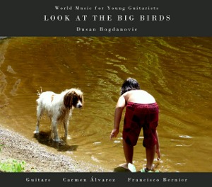 Dusan Bogdanovic / Look At The Big Birds