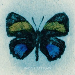 Art-School / Flora (CD+DVD)