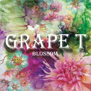 그레이프티(Grape T) / Blossom