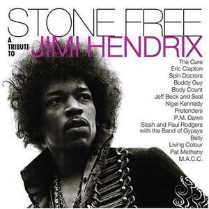 V.A. / Stone Free: A Tribute To Jimi Hendrix