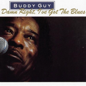 Buddy Guy / Damn Right, I&#039;ve Got The Blues (미개봉)