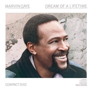 Marvin Gaye / Dream Of A Lifetime