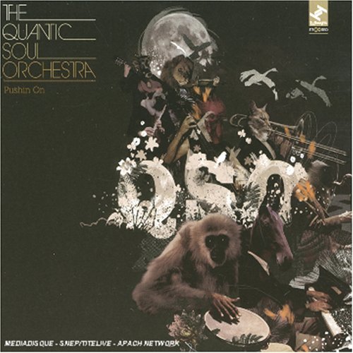Quantic Soul Orchestra / Pushin&#039; On (미개봉)